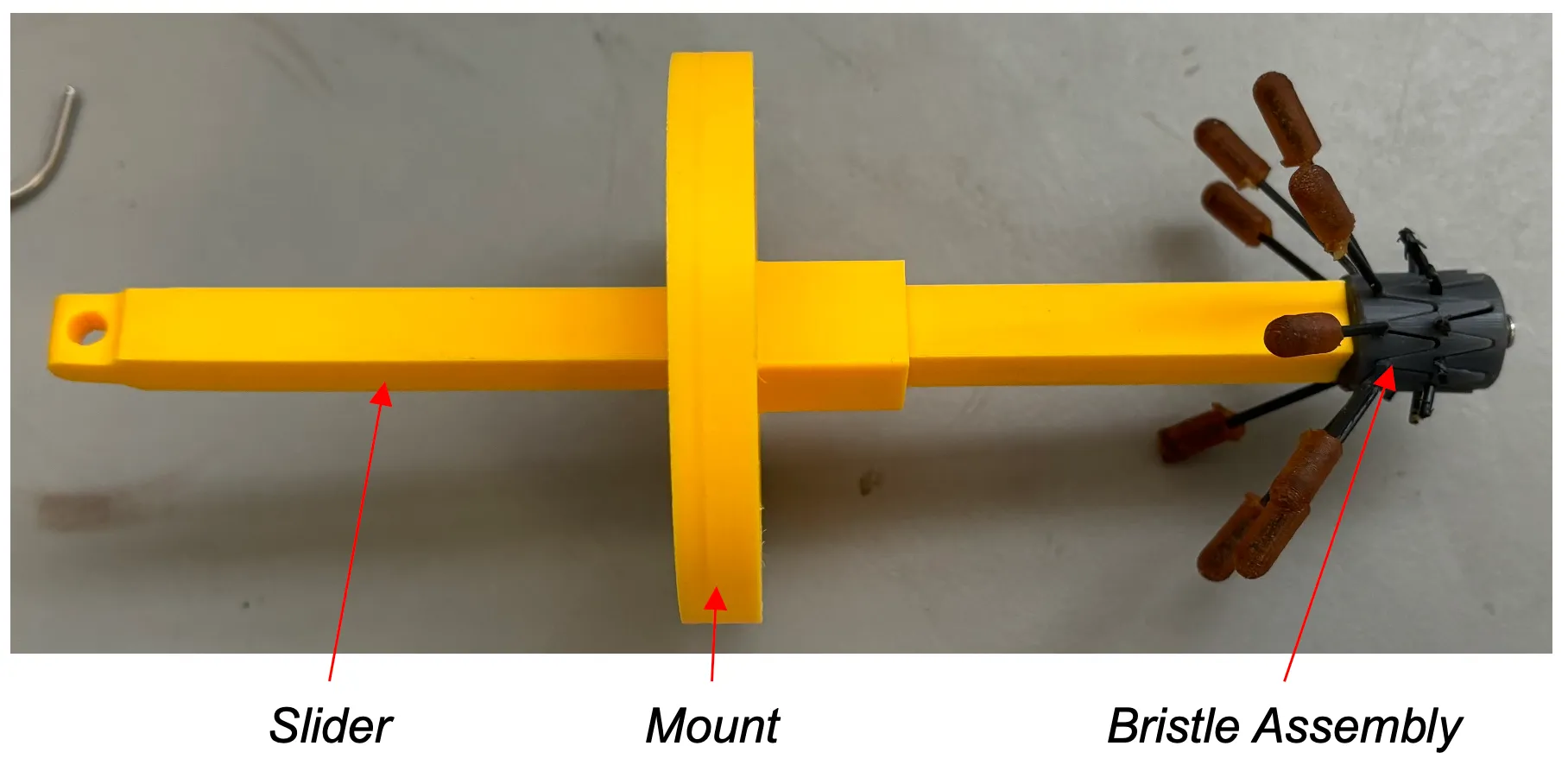 Bristle Friction Test